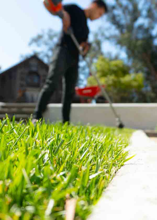 landscape maintenance 39 Valencia Artificial Grass Leading Artificial Grass Company in Valencia, CA.