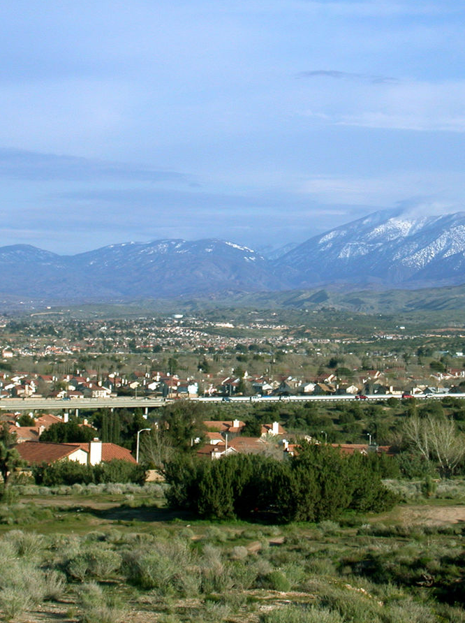 The Green Revolution: Artificial Grass's Impact on Palmdale Landscapes